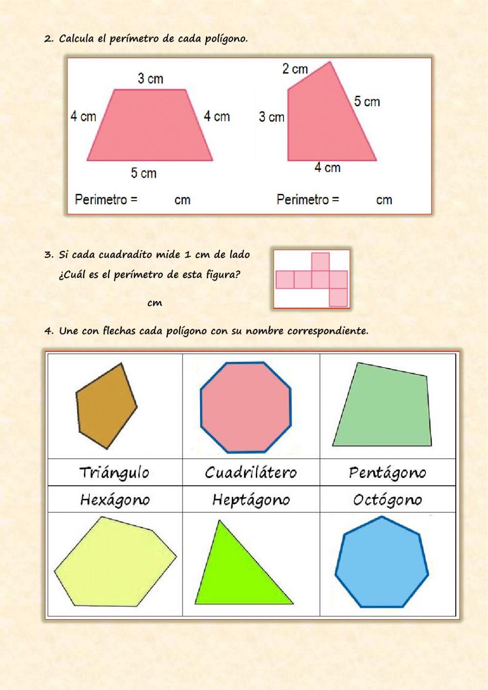 Tema 11. Los polígonos
