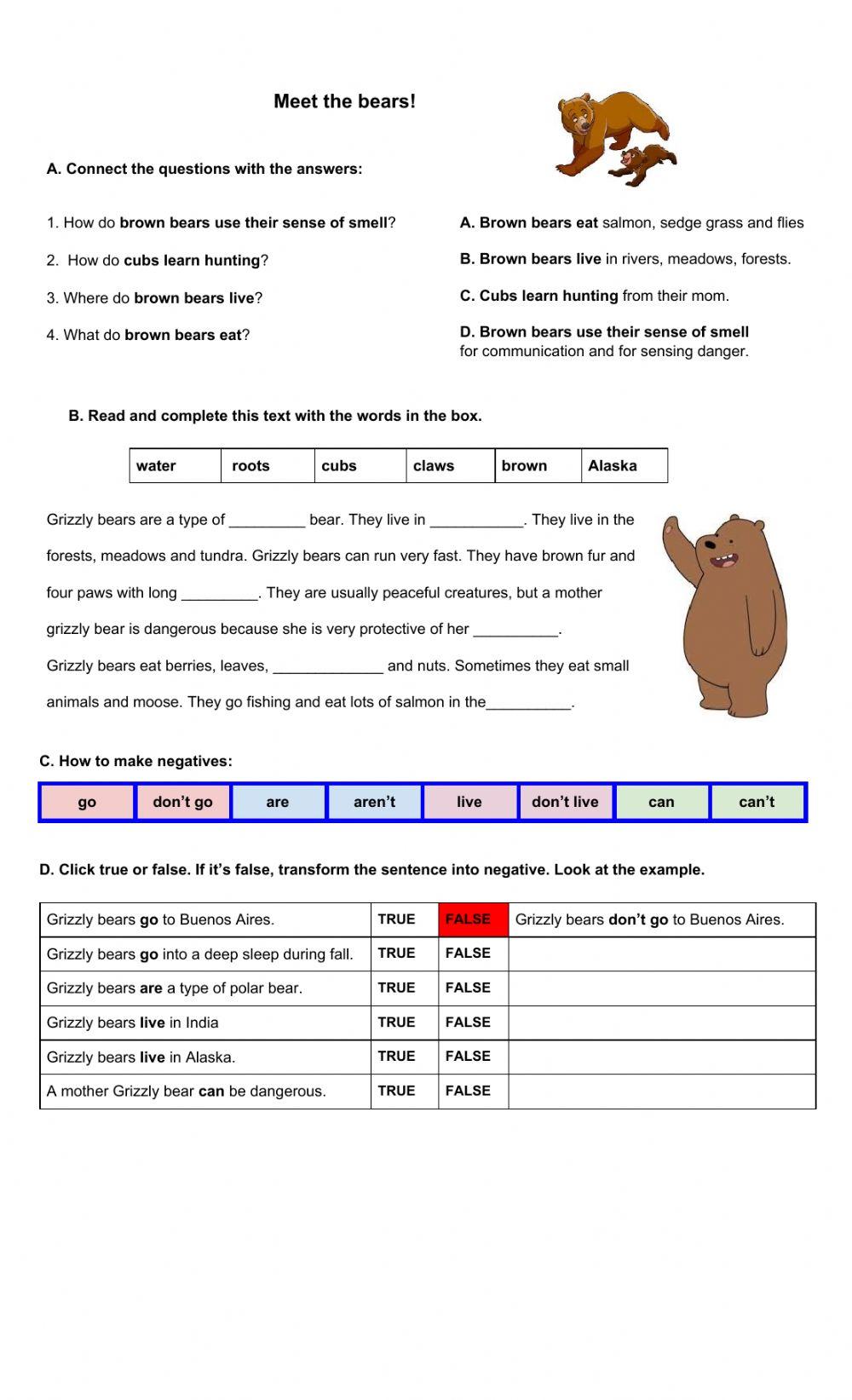 Project: Forest, Bears