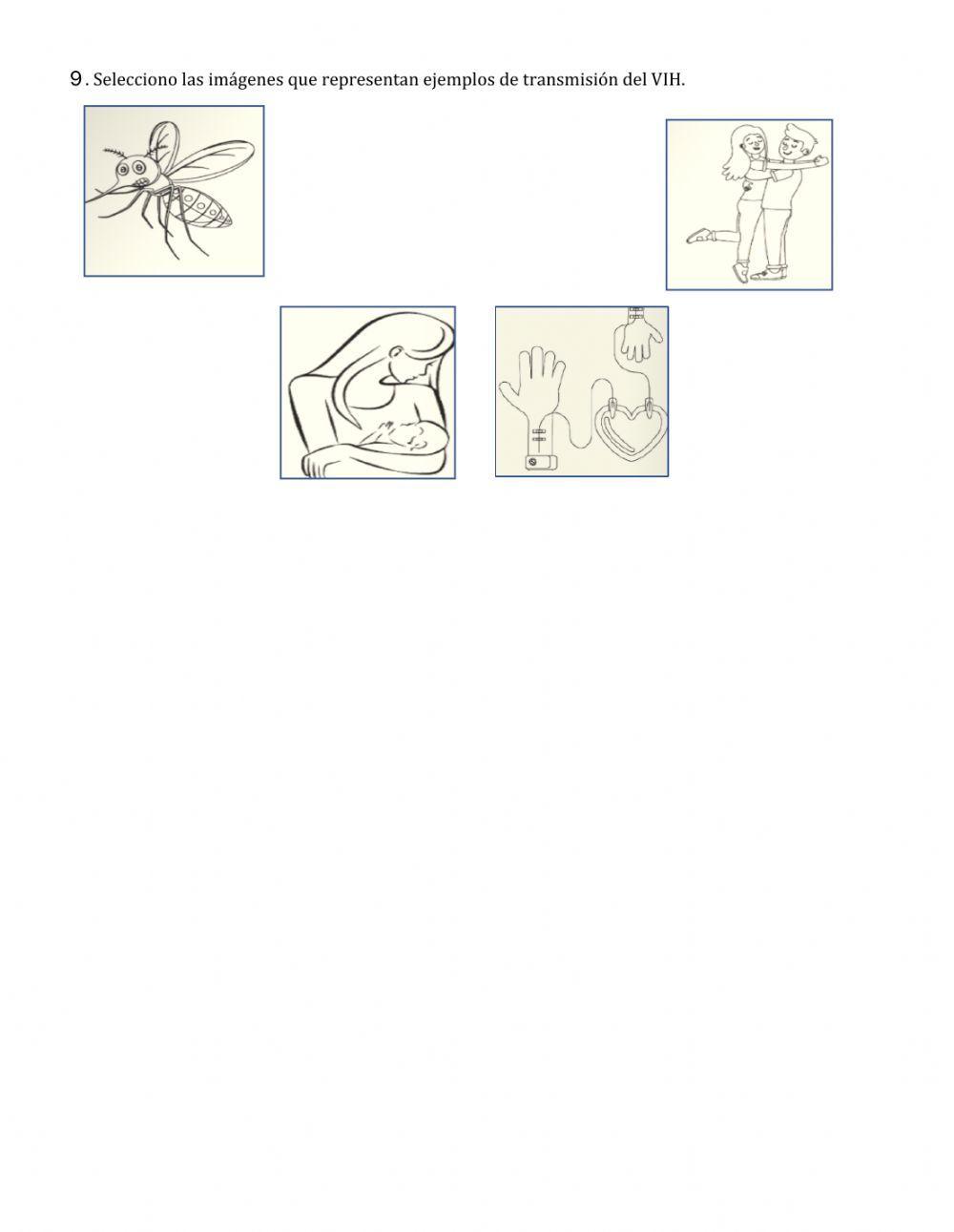 Función inmunológica de la sangre