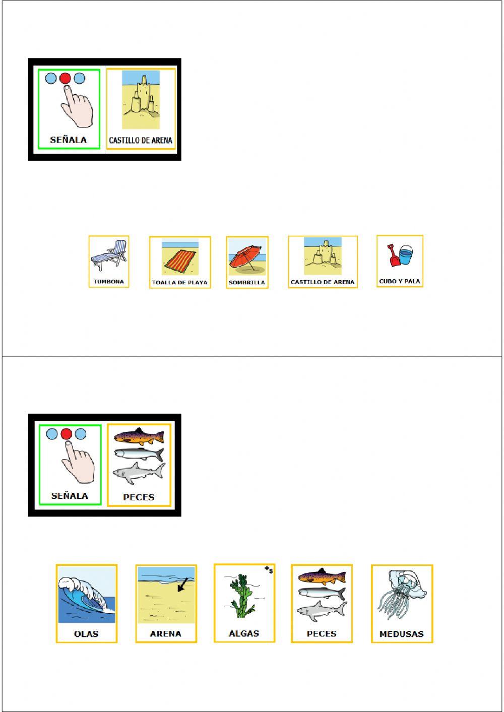 Vocabulario Pictado de verano