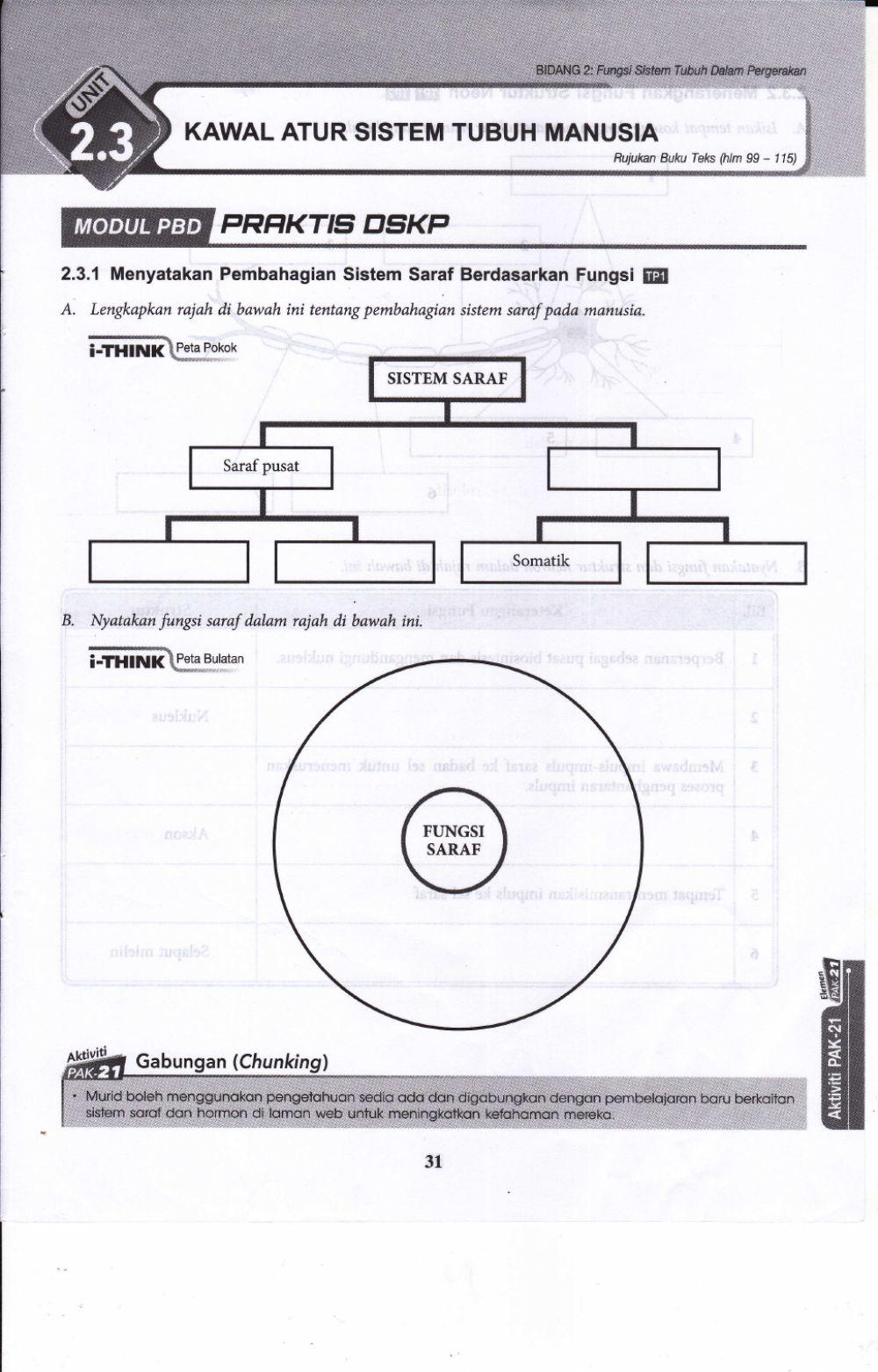 2.3 kawal atur sistem tubuh manusia
