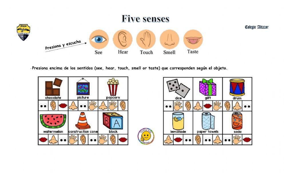 Five senses