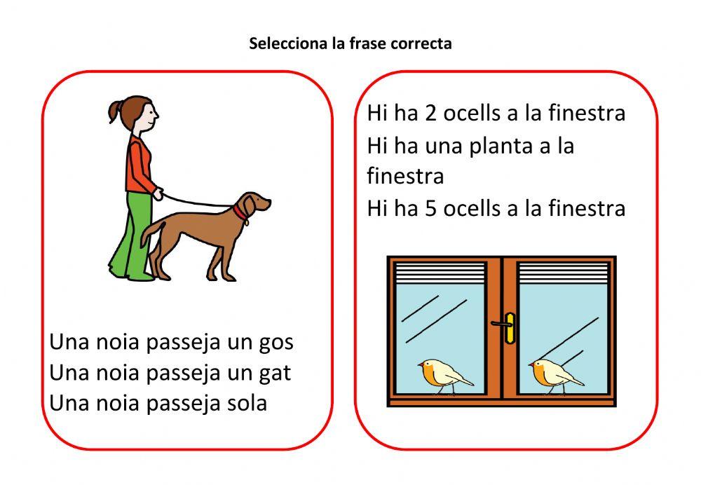 Comprensió amb imatges 3