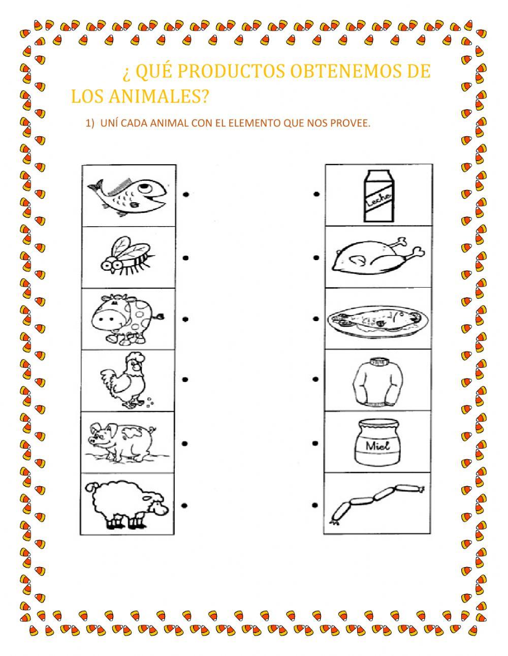 ¿Qué obtenemos de los animales?