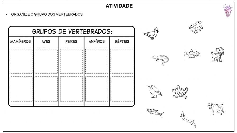 Animais invertebrados e vertebrados (2)