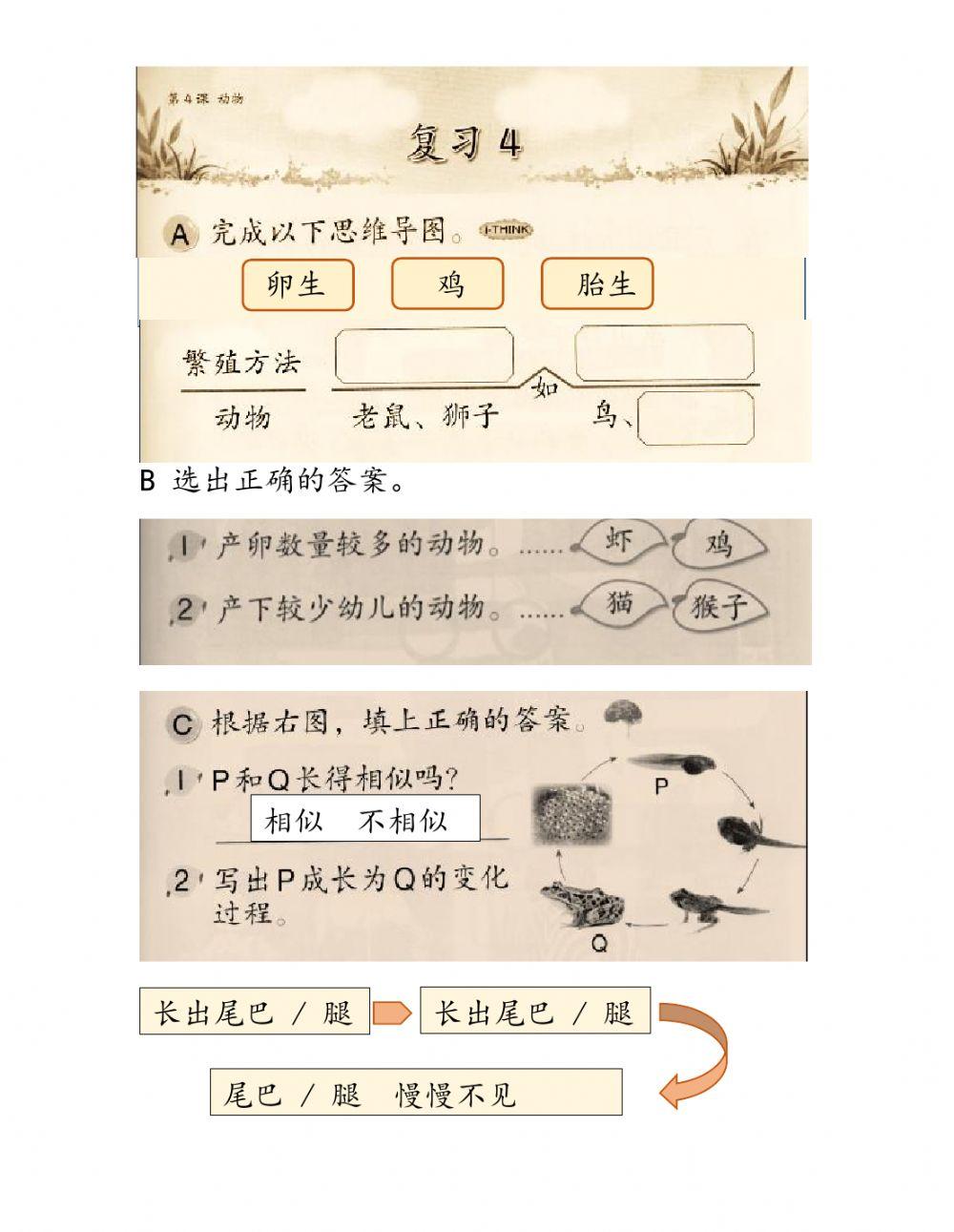 二年级科学第四课  动物