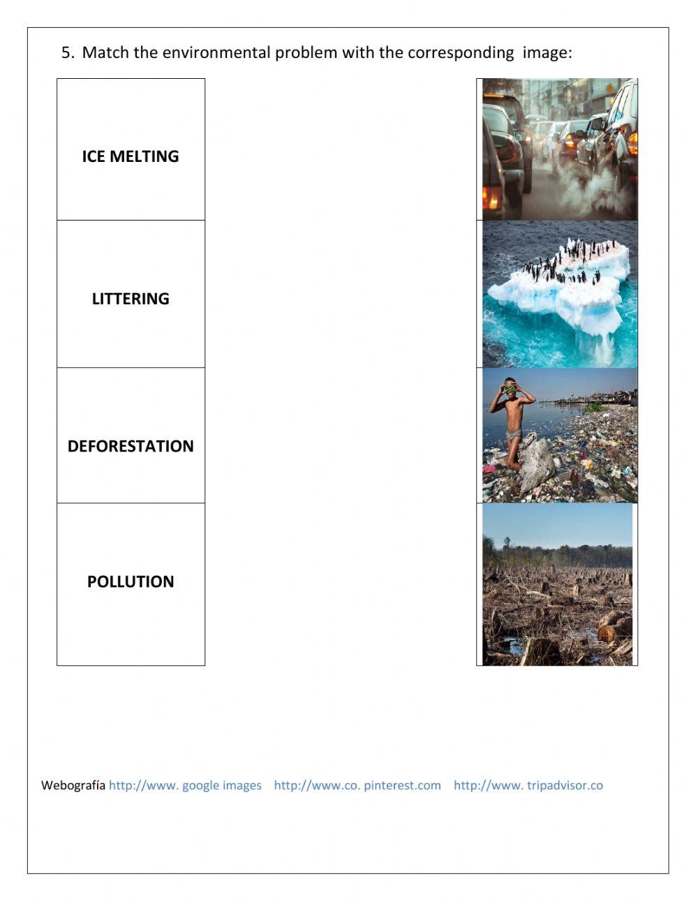 Social Studies  Exam - First Grade