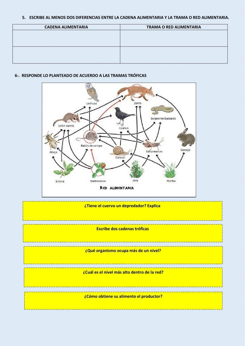 Flujo de materia  y energía