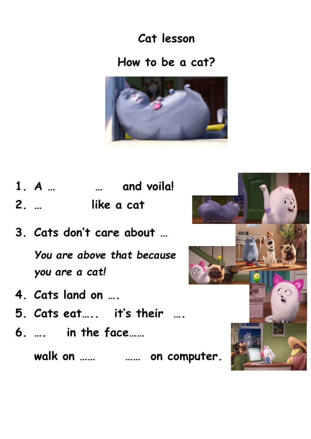 Secret life of pets Cat lessons