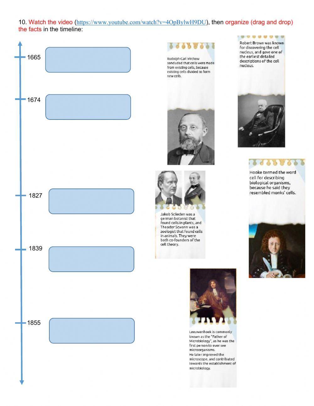 Structures-functions relationships in cells - The cell as a system - Cell theory