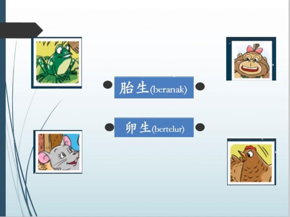 胎生和卵生