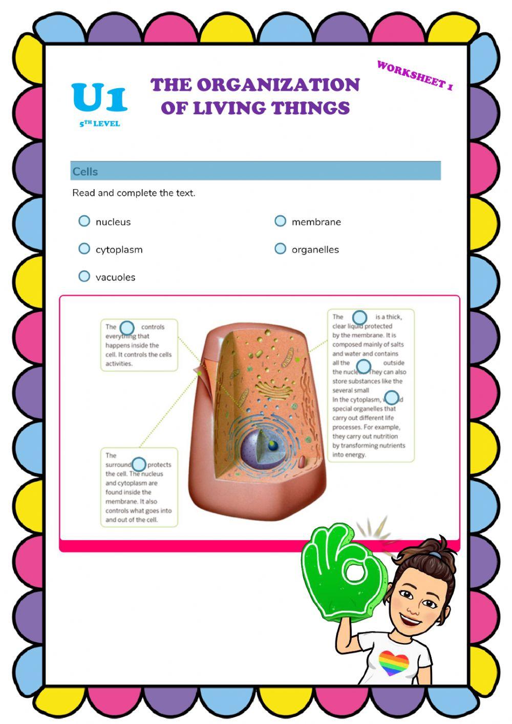 Organization of linving things