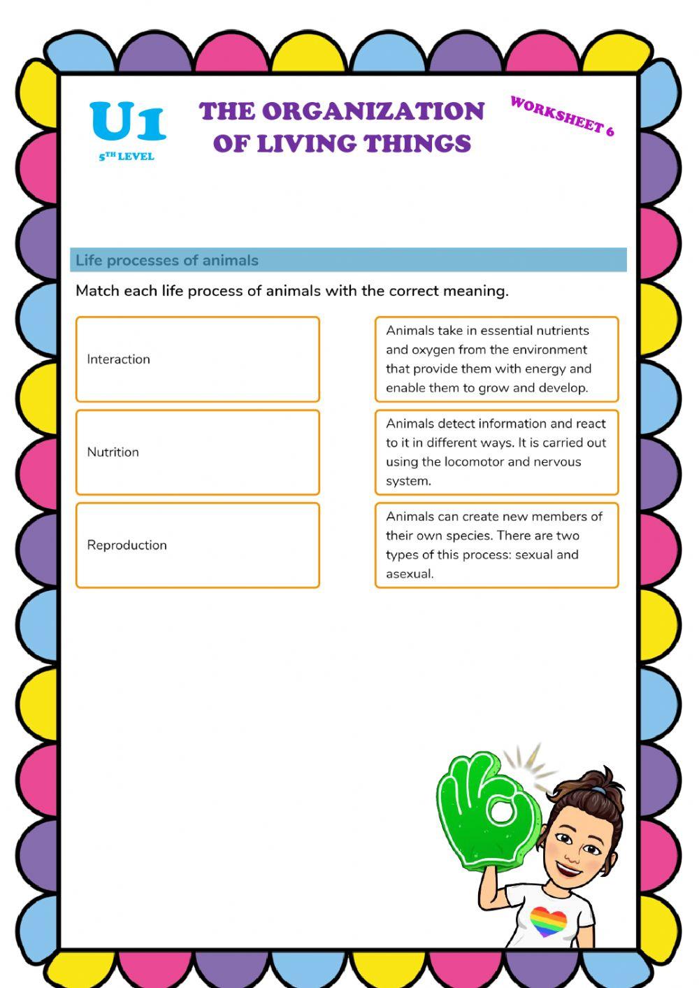 Organization of linving things 6