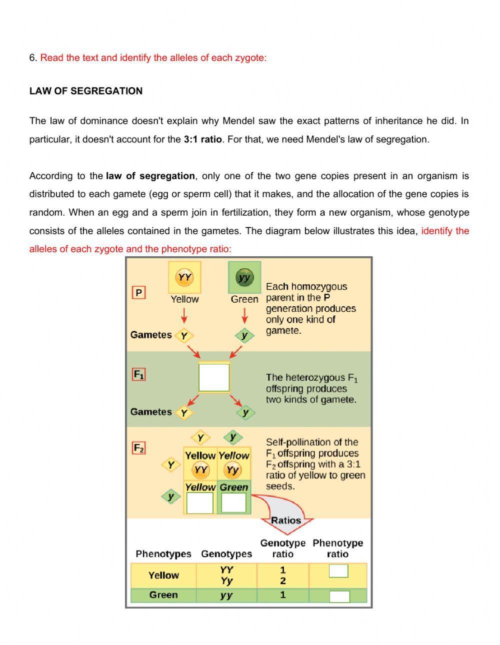 Genetics - Mendelian genetics