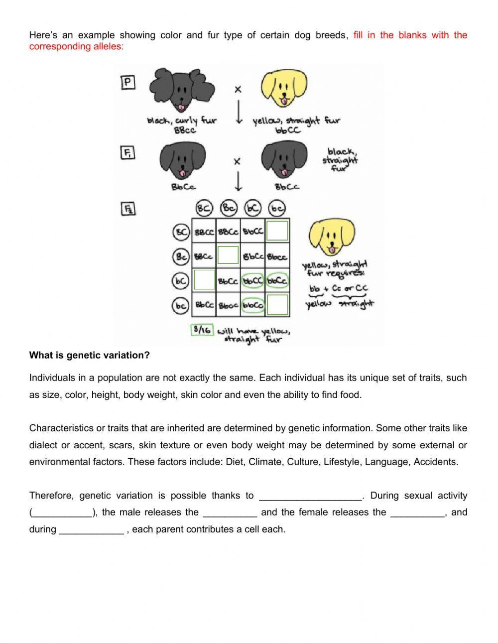 Genetics - Mendelian genetics