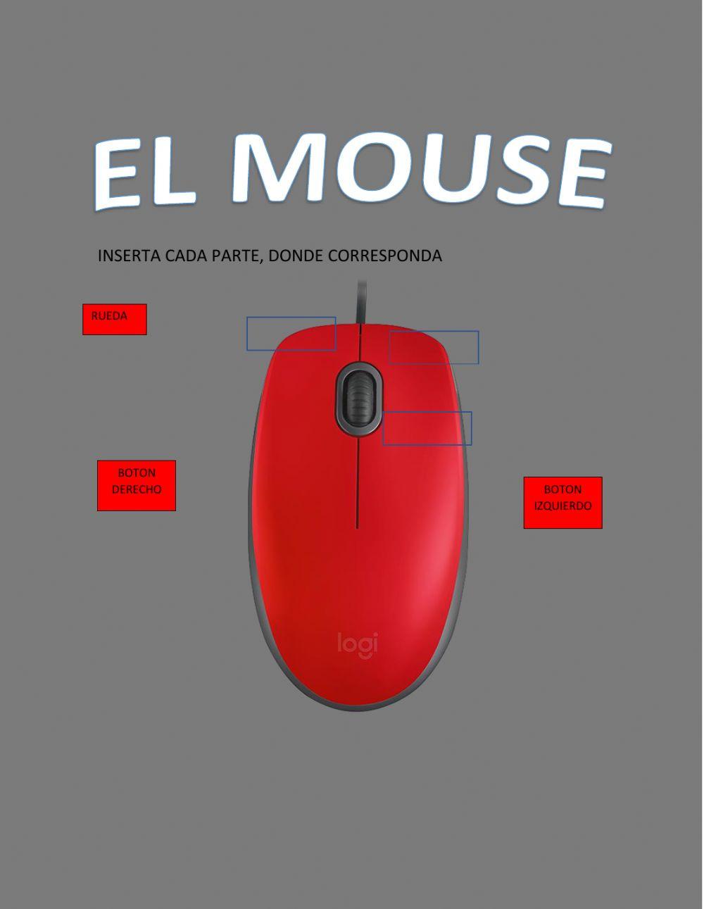 Partes del mouse
