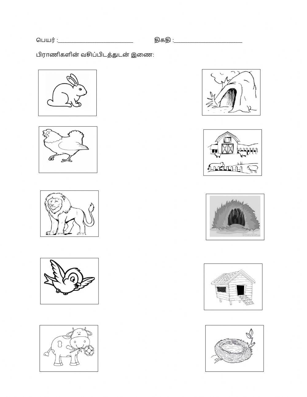 அறிவியல்