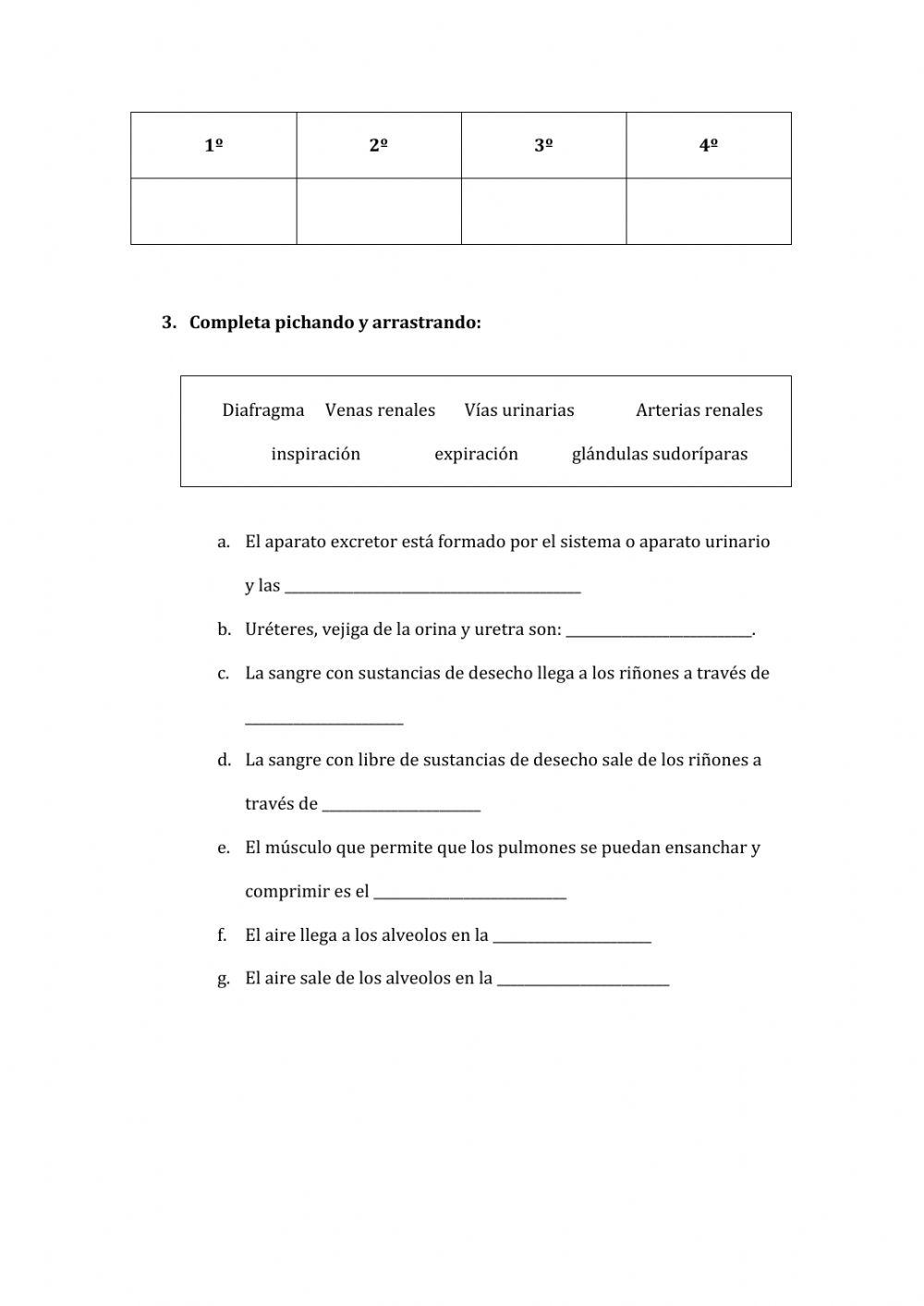 Aparatos excretor y respiratorio