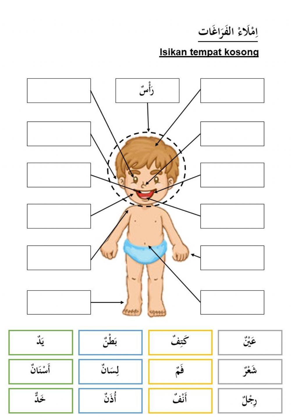 Tahun 2 l Badanku Cergas l Angota Badan