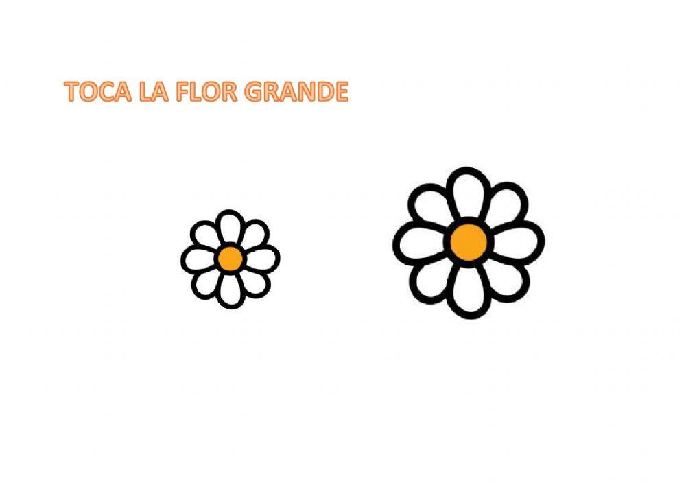 Concepto cuantitativos: GRANDE-PEQUEÑO