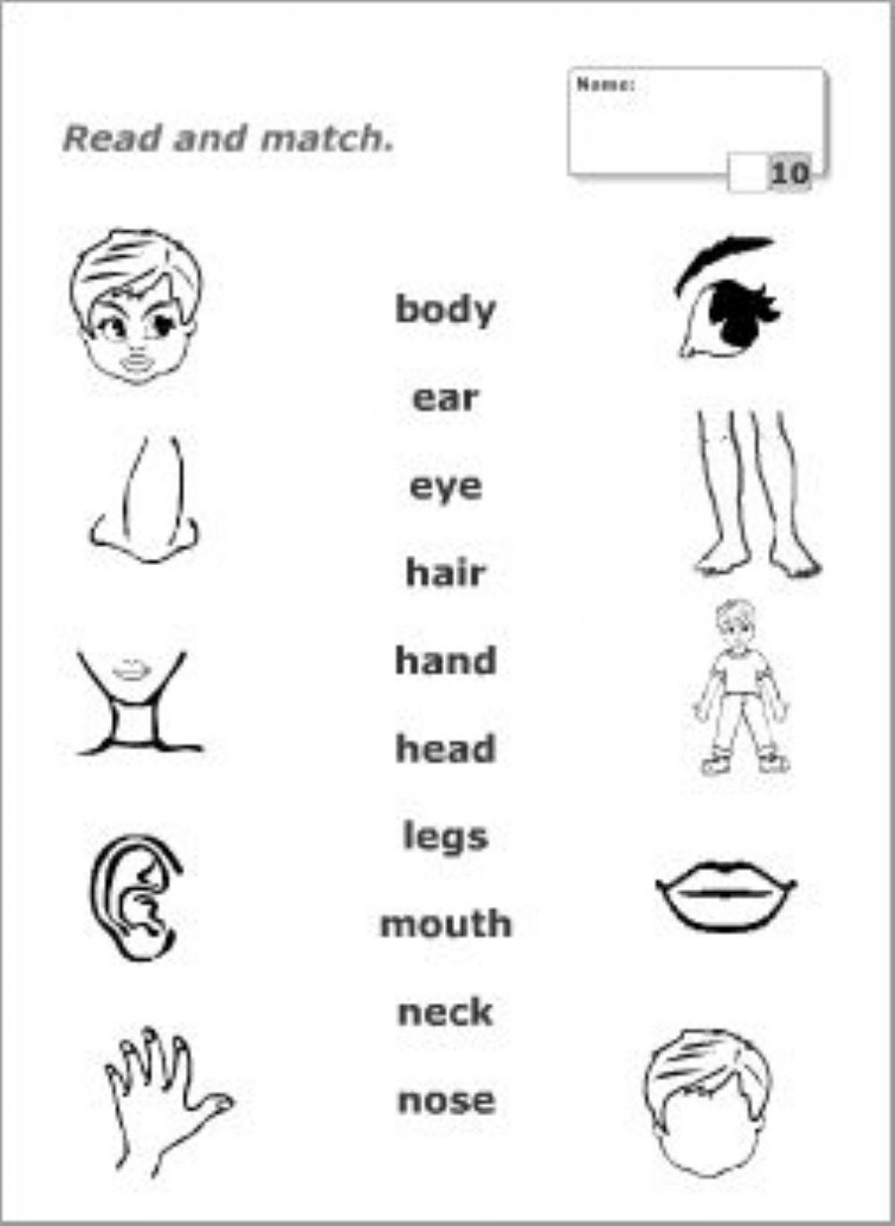 Match a picture with the proper word