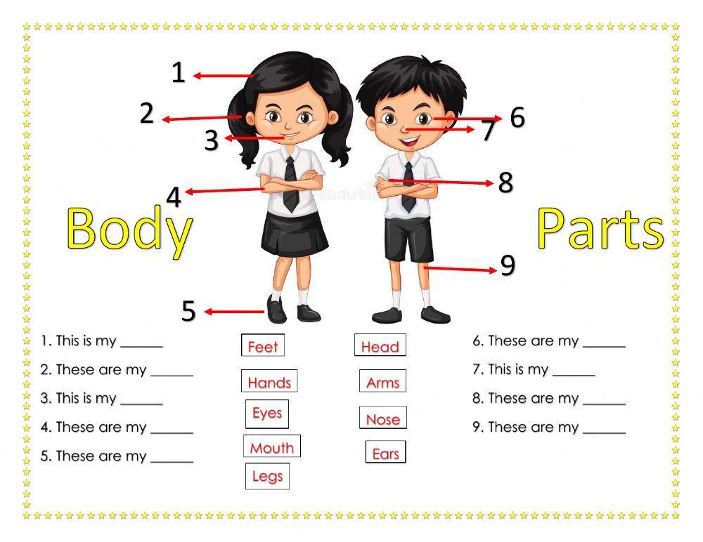 Body parts