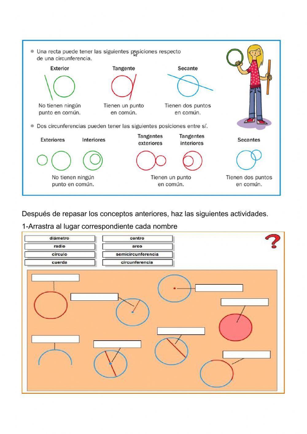 Circunferencia y círculo