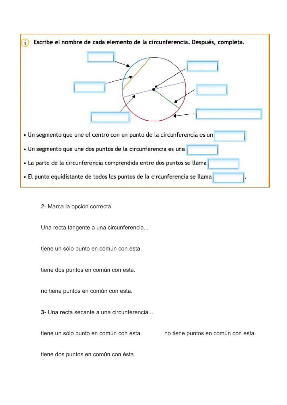 Circunferencia y círculo