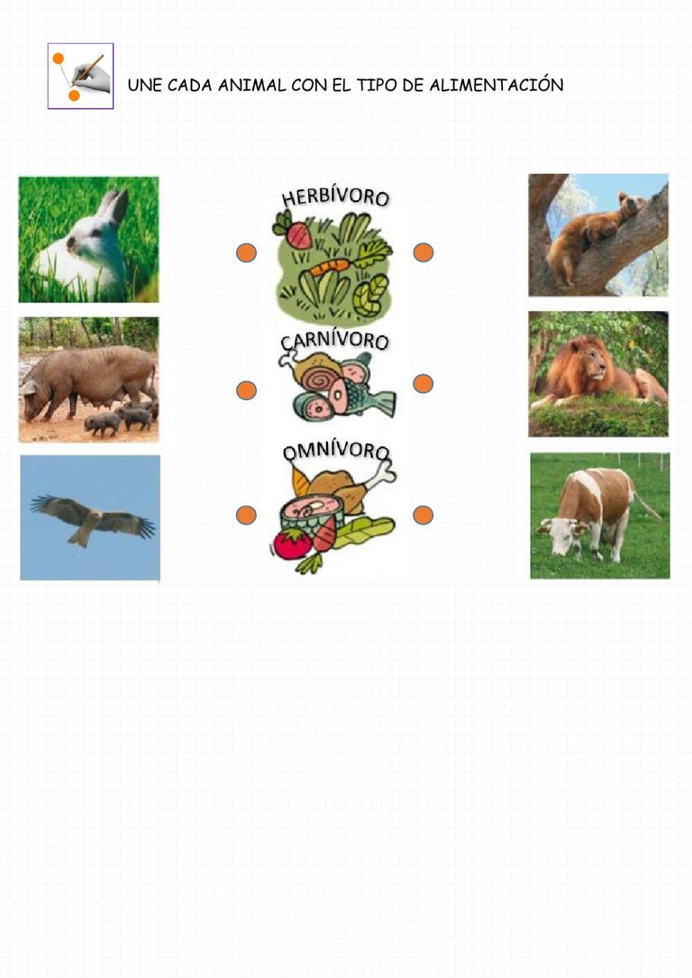 Une cada animal con el tipo de alimentación