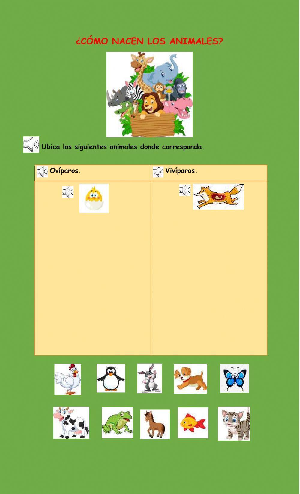 Ovíparo o vivíparo