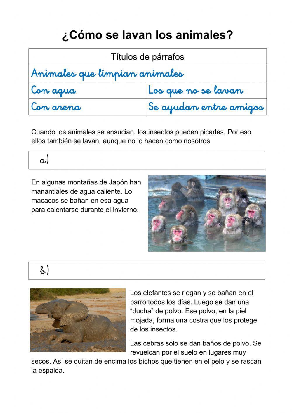 Como se lavan los animales Como se lavan los animales