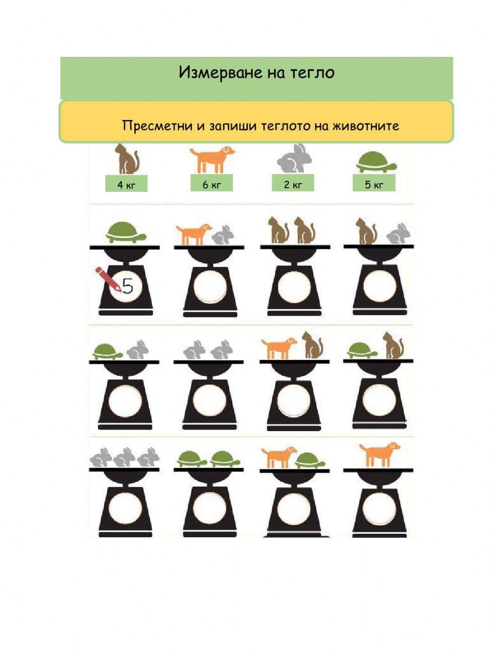 Математически представи, количествени представи