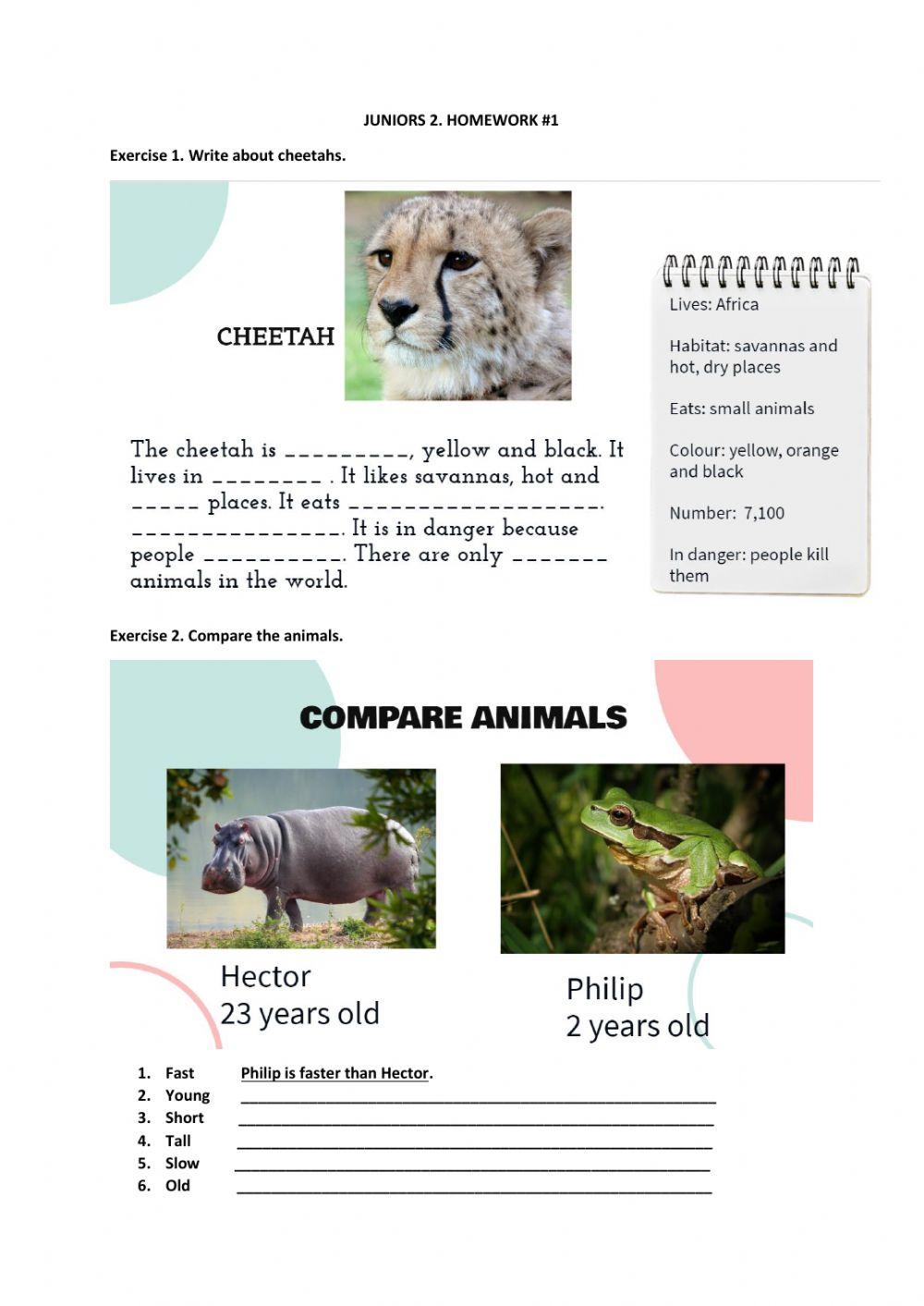 Juniors 2. Revision -1