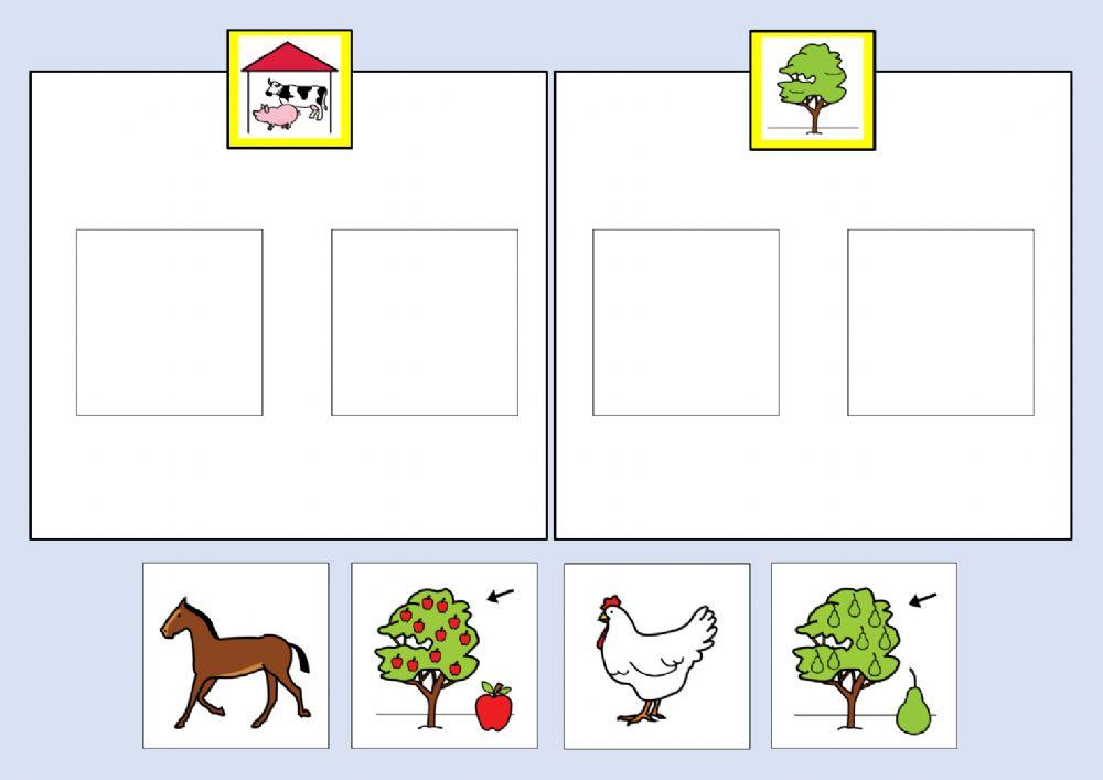 Classificare animali alberi