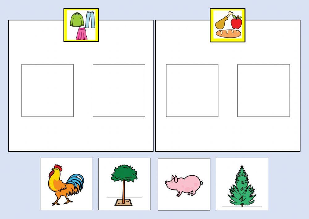 Classificare animali alberi