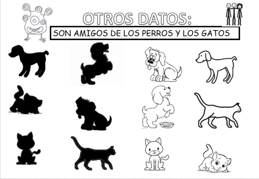 Perros y gatos
