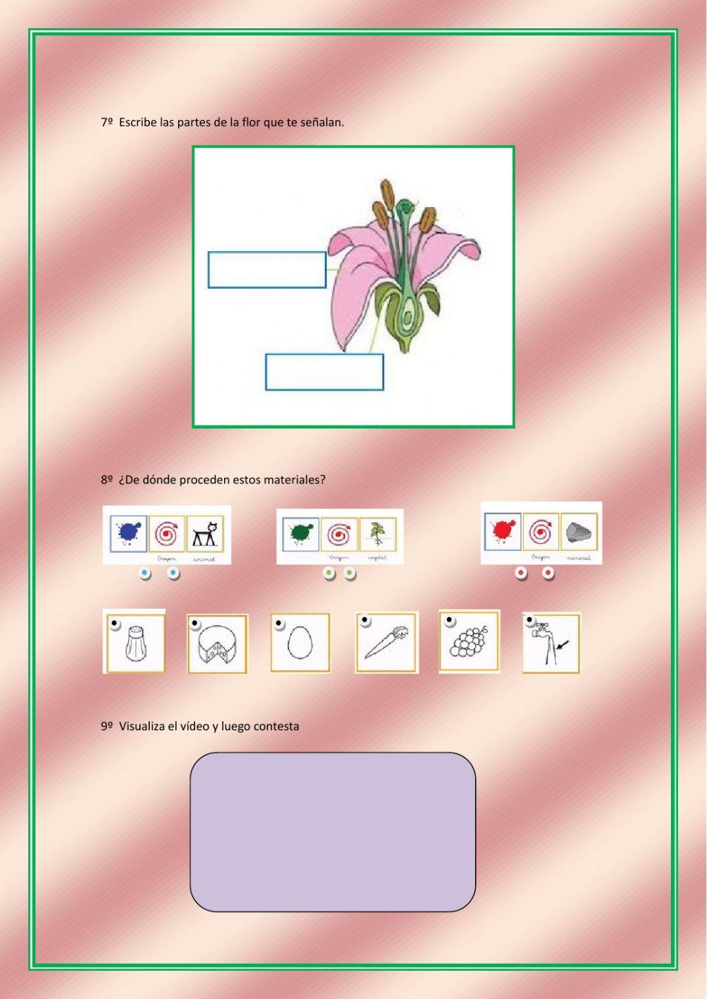 Las plantas y materiales