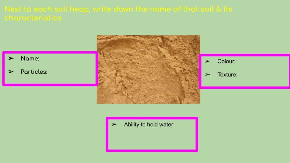 Sand soil