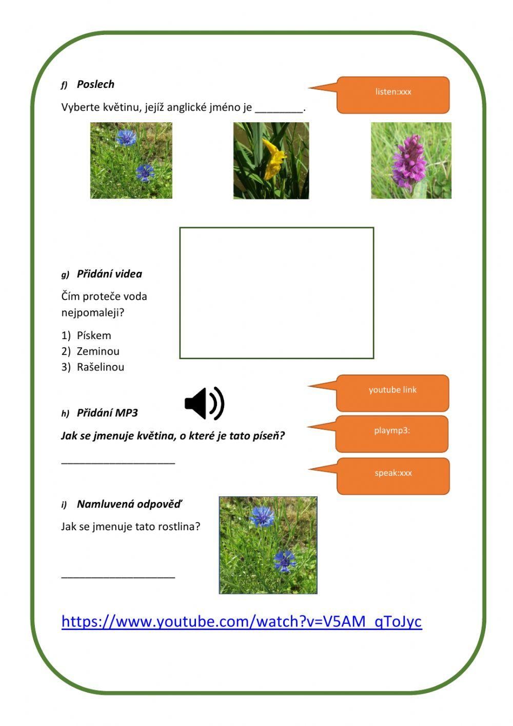 Příroda na jaře 3