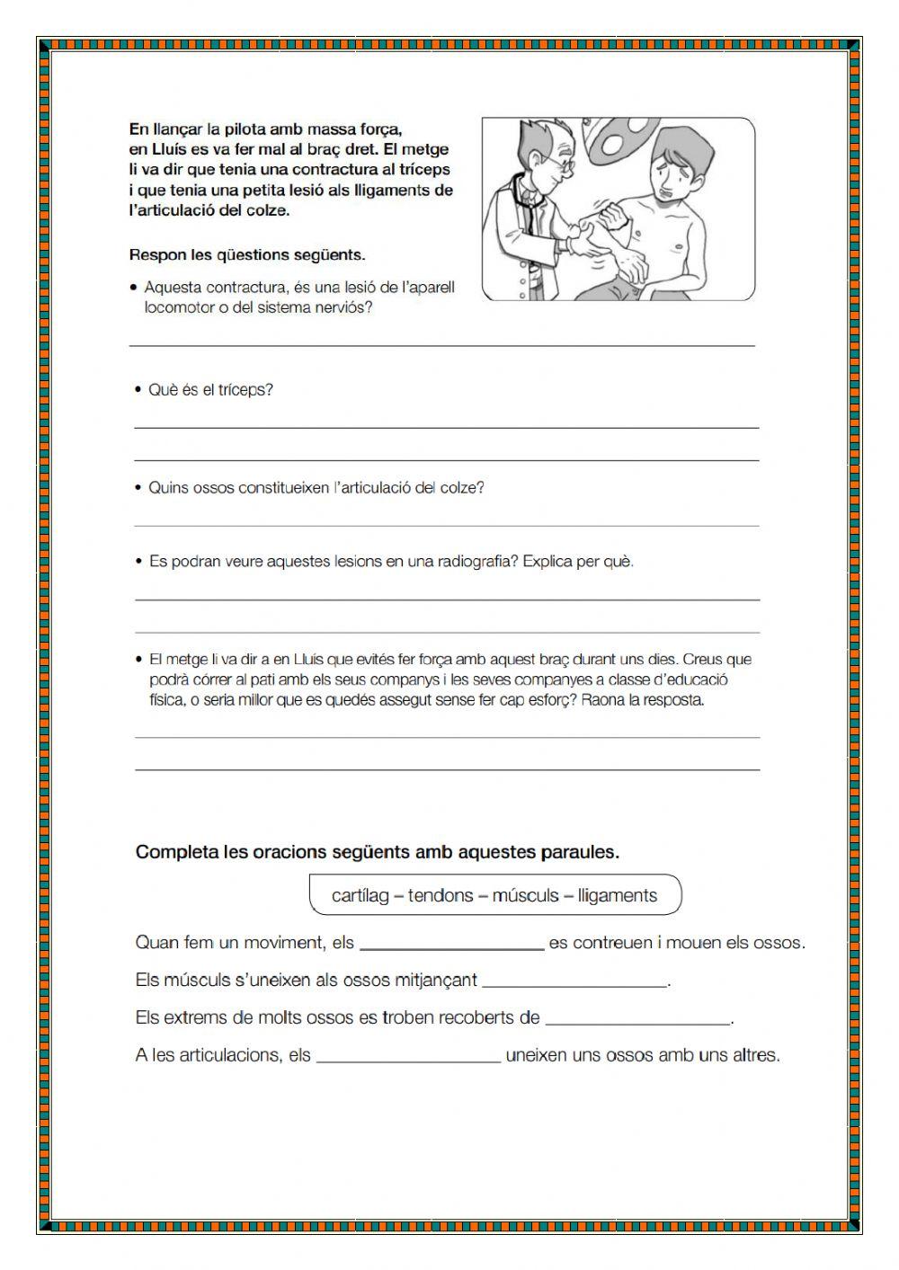 La funció de relació