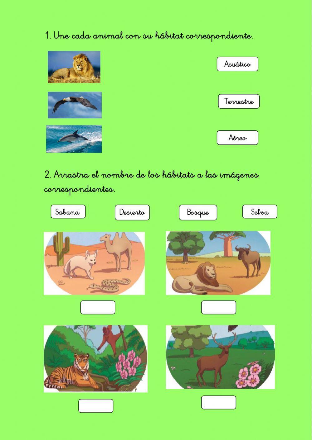 Hábitats de los animales