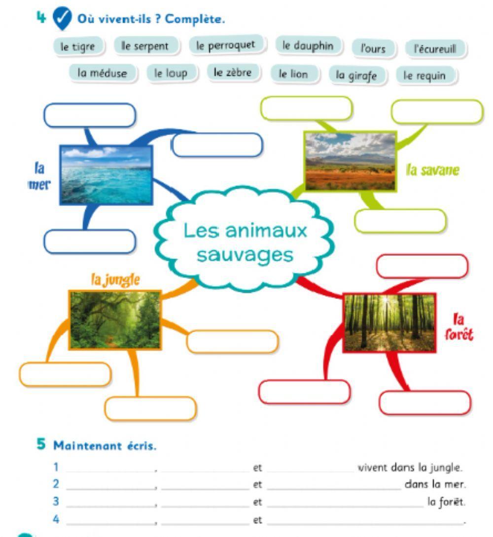 Les animaux sauvages