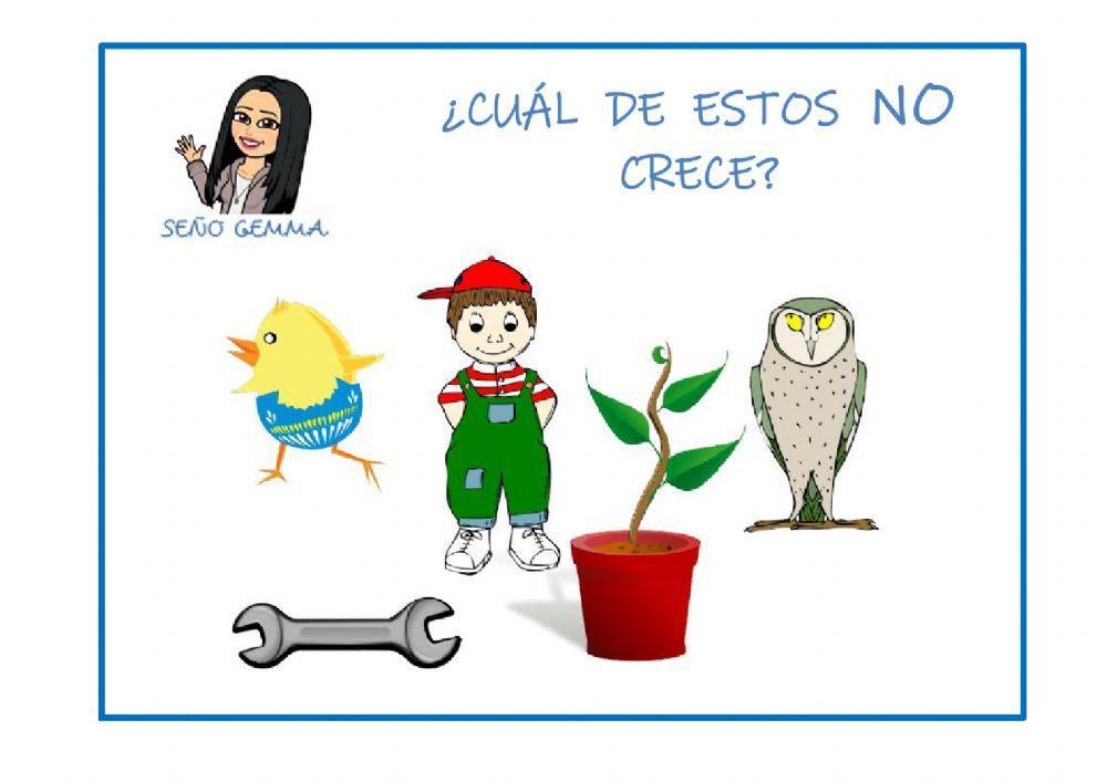 Comprensión frases negativas