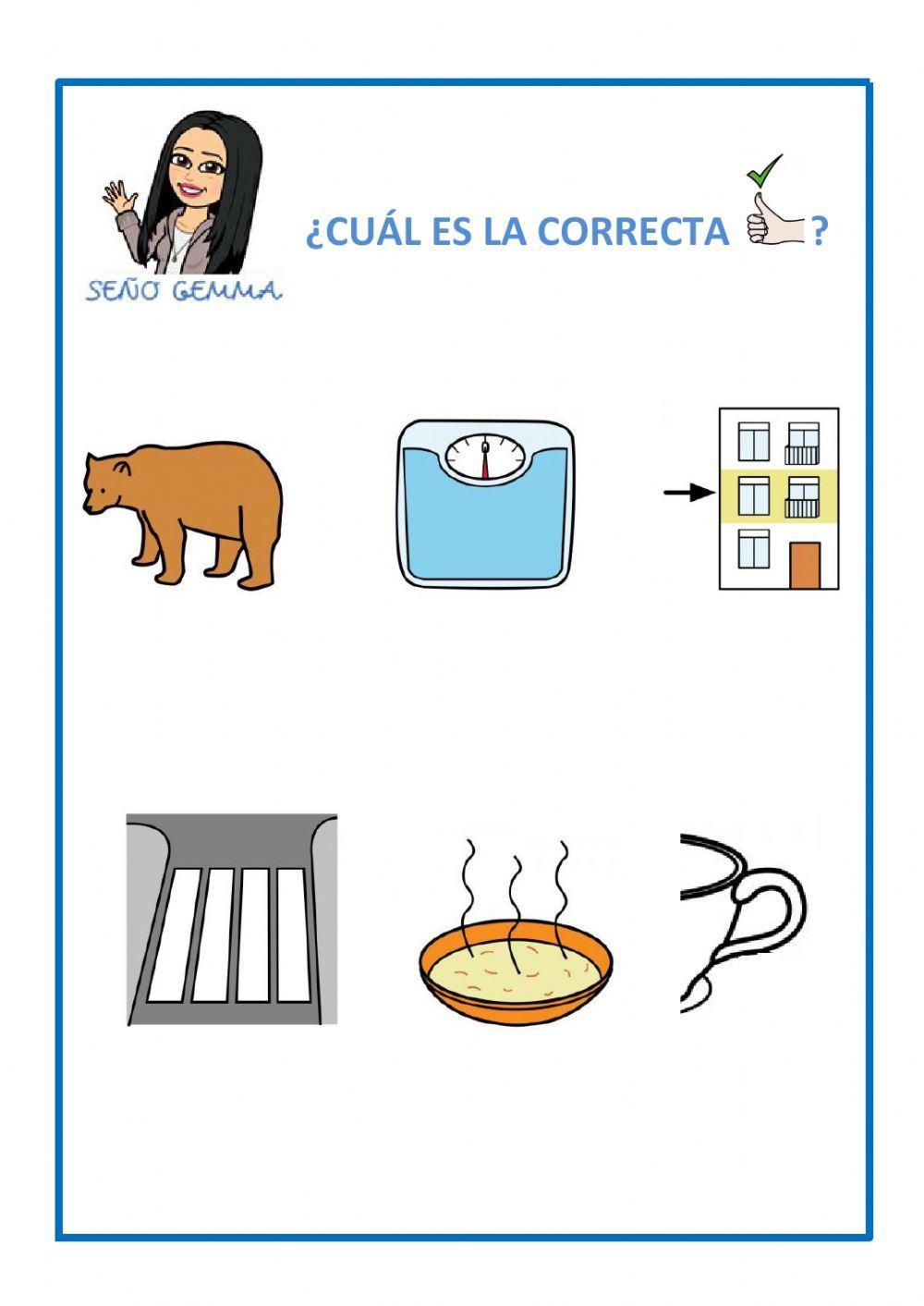 Lectura global S: selección múltiple