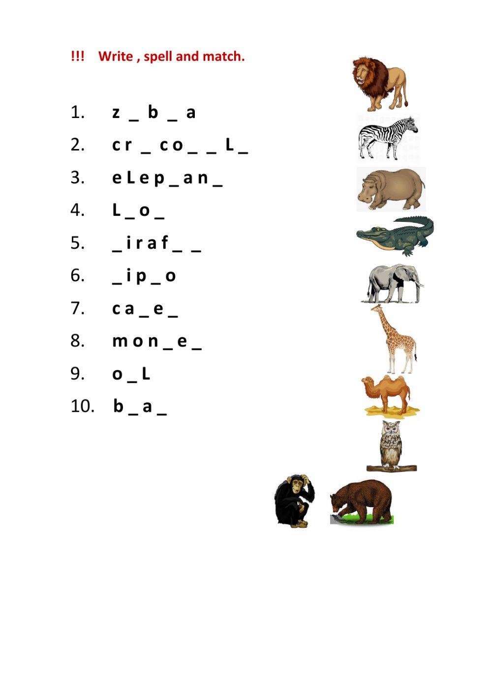 Animals Spelling