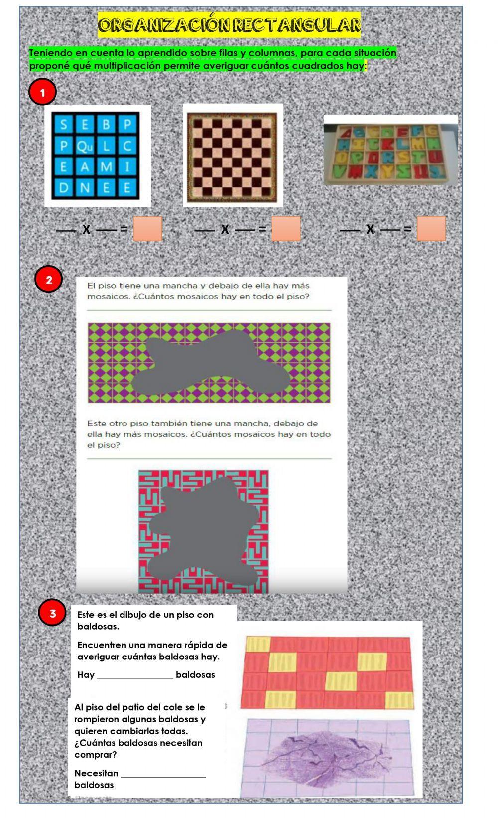 Organización rectangular