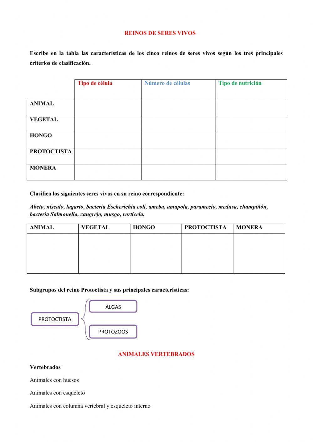 Repaso Biología y Geología (Unidades 7, 8 y 9)