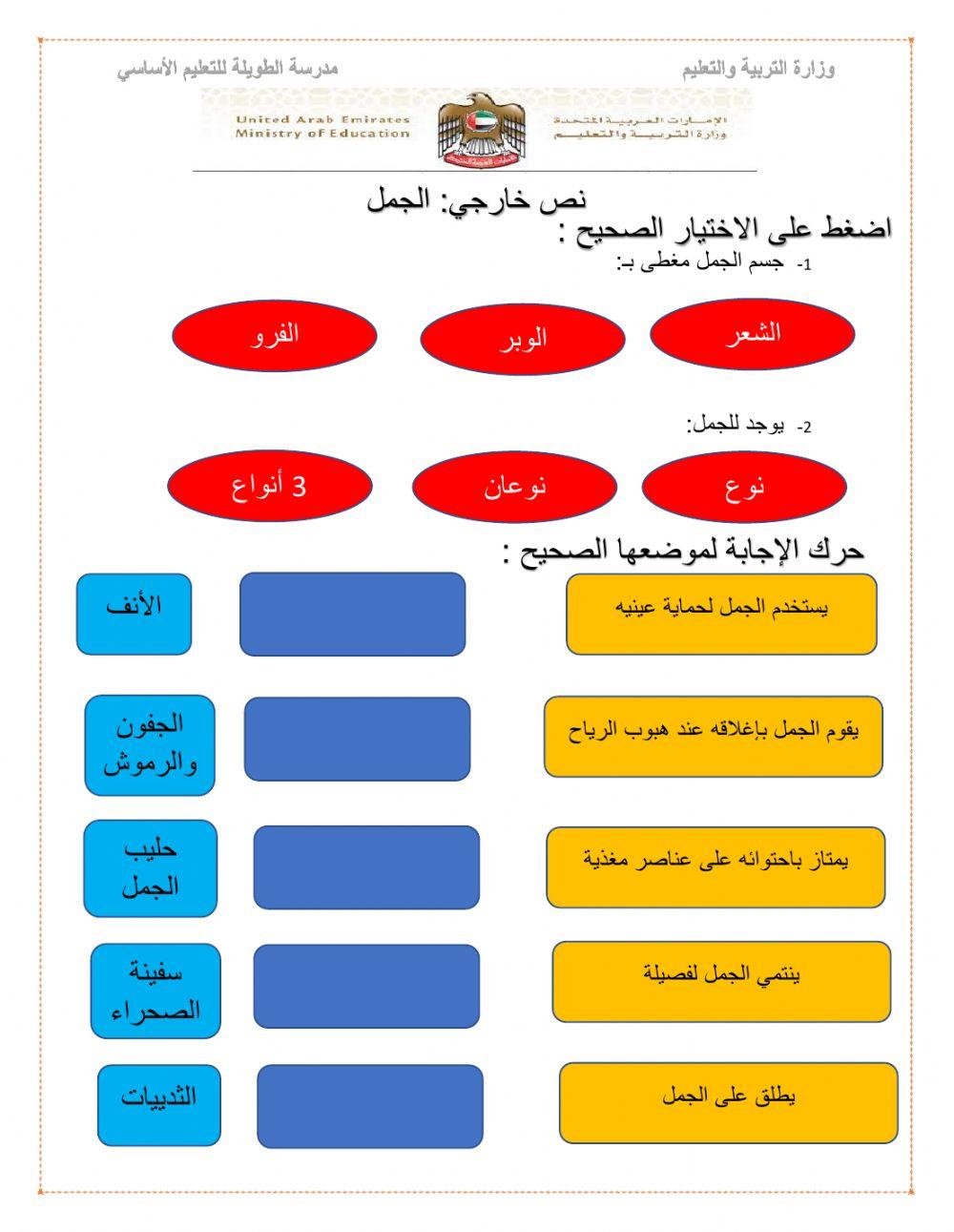نص خارجي : الجمل