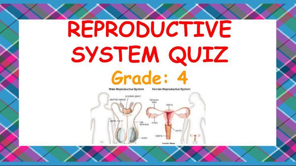 Reproductive System quiz