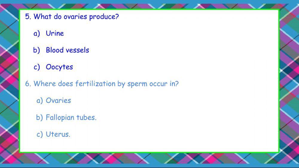 Reproductive System quiz